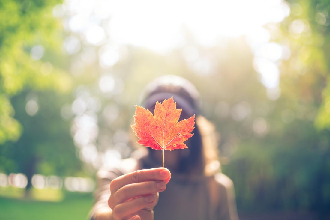 woman holding maple leaf